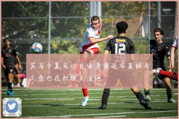 苏马今夏或以自由身重返布莱顿考文垂也在积极关注他