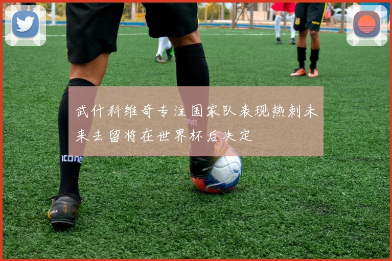 武什科维奇专注国家队表现热刺未来去留将在世界杯后决定