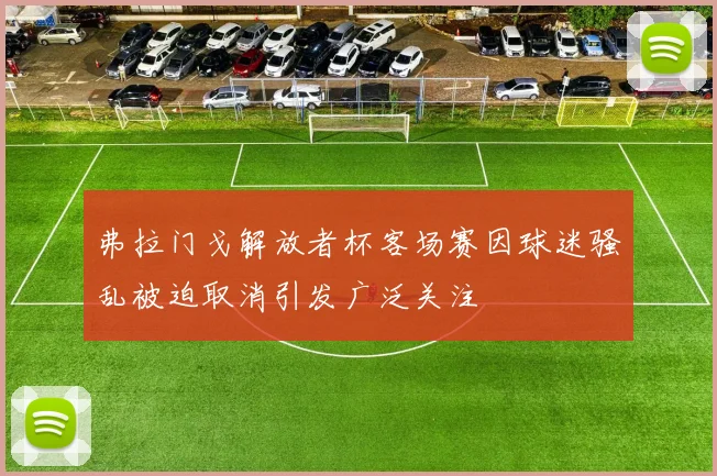 弗拉门戈解放者杯客场赛因球迷骚乱被迫取消引发广泛关注